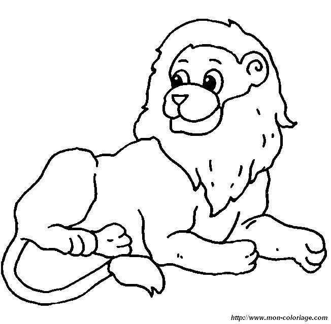 picture lion21