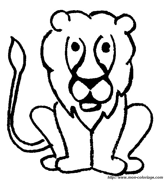 picture lion3