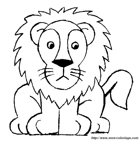 picture lion4