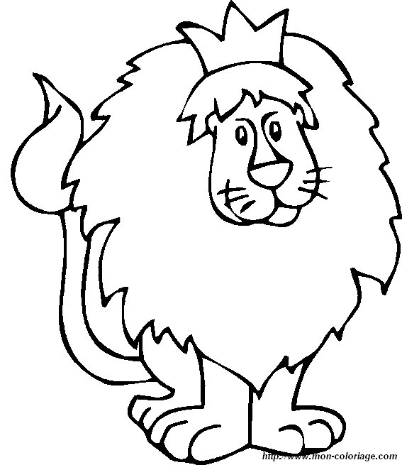 picture lion8