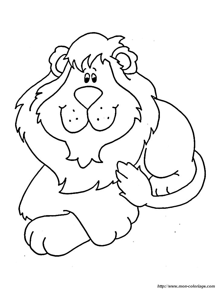 picture lions 005