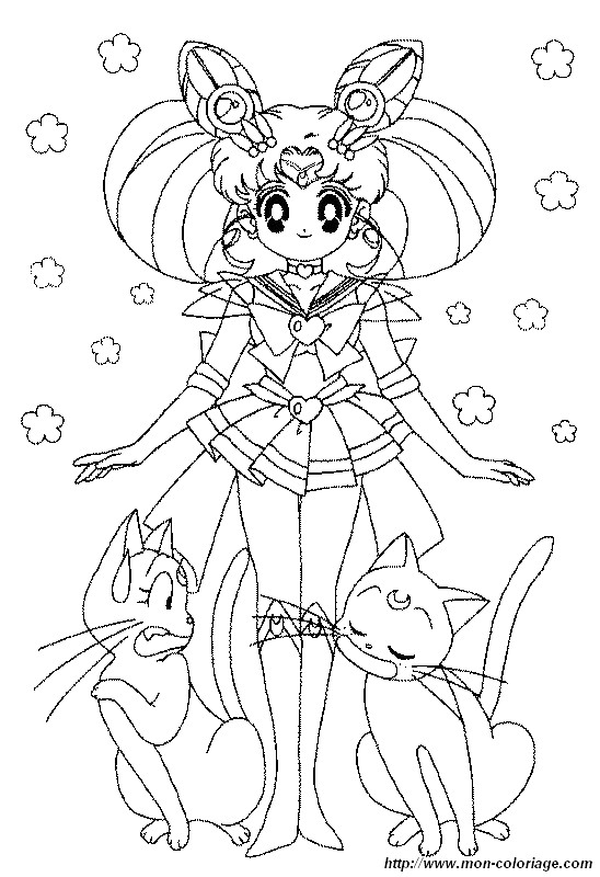 picture sailor moon cats