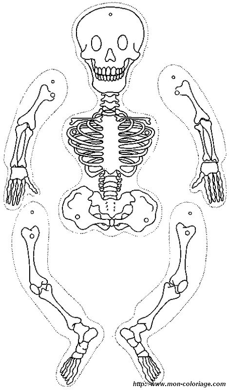 picture smiling skeleton