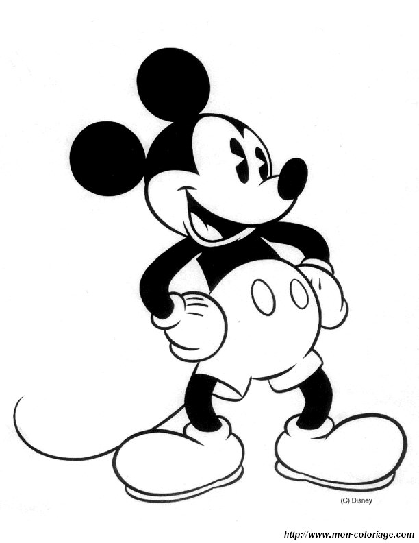 picture colormickey3