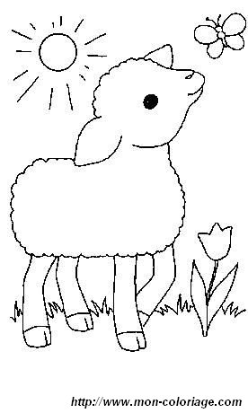 picture 1 lamb