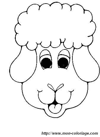 picture lamb 2