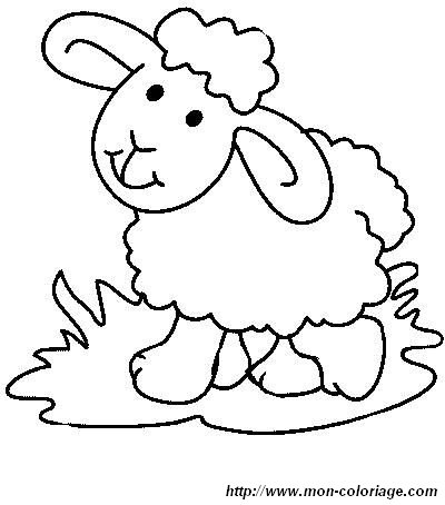 picture lamb