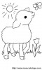 1 lamb