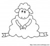 poor lamb