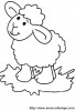 sheep 2