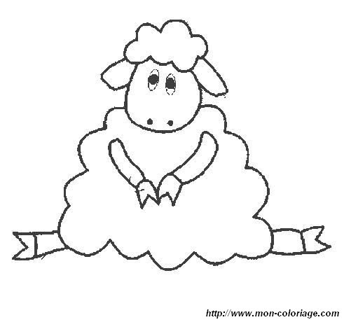 picture poor lamb