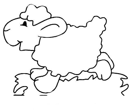 picture running lamb