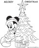 Mickey waiting for you for christmas