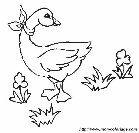 picture goose with flowers