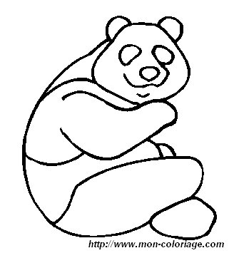 picture panda2