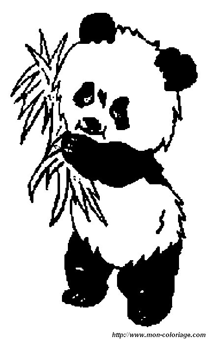 picture panda7
