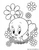 Tweety with beautiful flowers