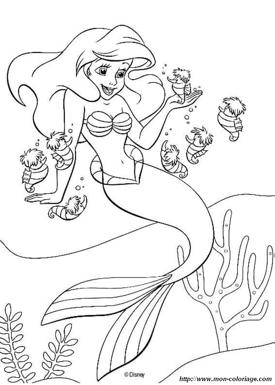 picture seahorses and little mermaid