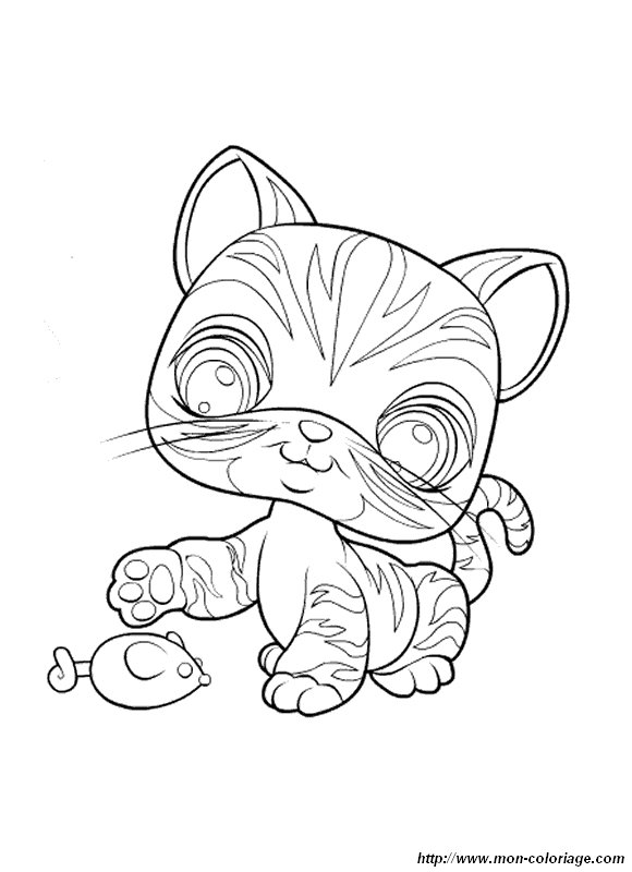 picture cat mouse petshop