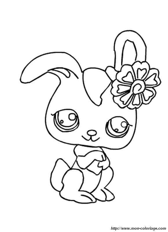 picture rabbit and flower