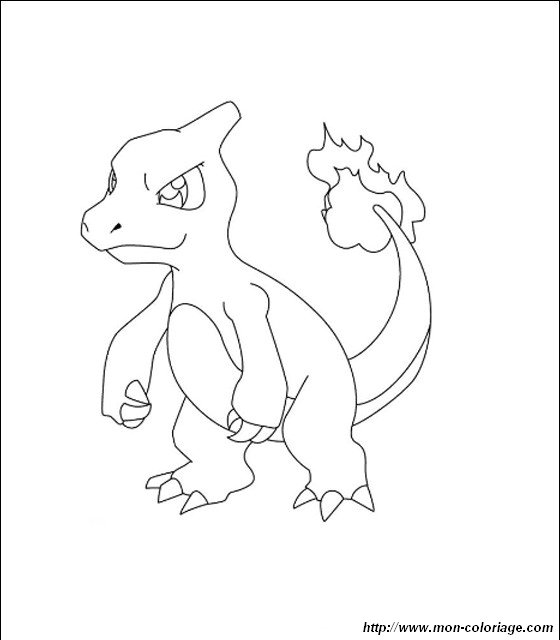 picture charmeleon