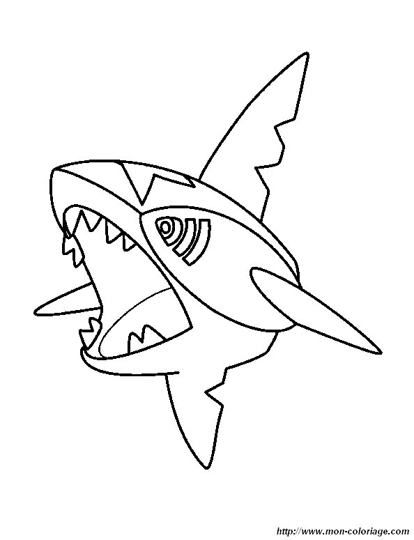 picture shark