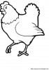 Hen