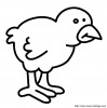 chick 1