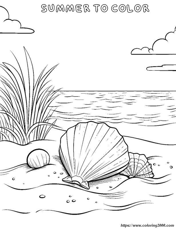 picture Holidays in summer to the beach