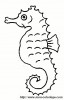 1 seahorse