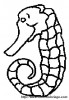 1 seahorse