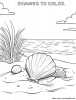 Holidays in summer to the beach