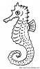 real seahorse