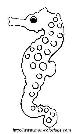 picture seahorse2