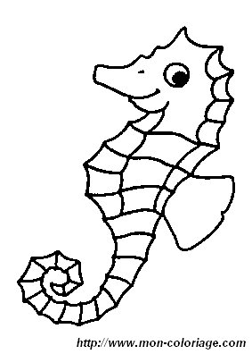 picture smiling seahorse
