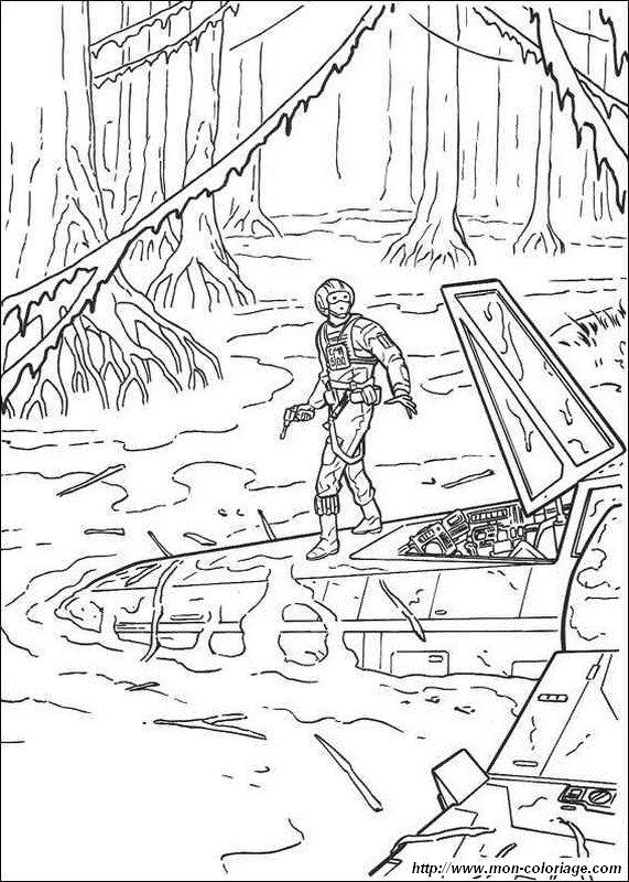 picture luke skywalker in a swamp