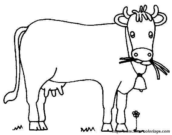 picture a cow