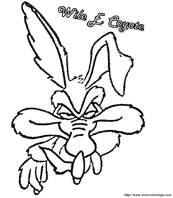 picture wile coyote