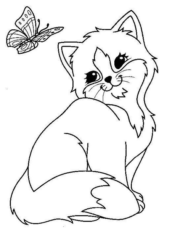 Cat and Butterfly